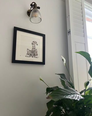 MOUNTED PRINTS