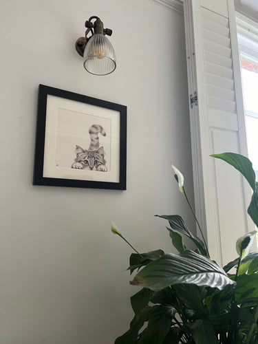 MOUNTED PRINTS