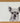 Colin Chihauhau Glass Chopping Board
