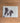 Cookie Collie Glass Chopping Board