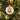 Christmas Cooper Cockapoo Fine Bone China Bauble