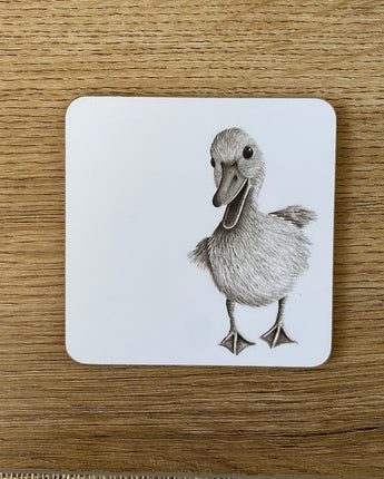 Duckling Coaster