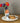 Skittle Squirrel Fine Bone China Egg Cup