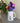 Duke Duck 1/2 Pt Fine Bone China Jug