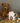 Sonny Spaniel Fine Bone China Kids Mug