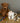 Harry Hare Fine Bone China Kids Mug
