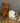 Dino Cockapoo Fine Bone China Kids Mug