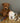 Stanley Frenchie Fine Bone China Kids Mug
