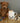 Mabel Yorkshire Terrier Fine Bone China Kids Mug