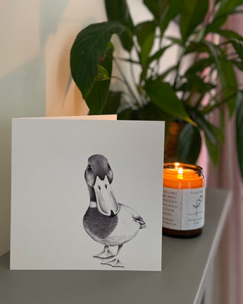 Duke Duck Pencil Illustrated Greeting Card