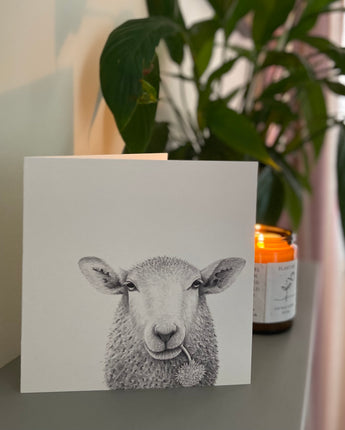 Baaley Sheep Pencil Illustrated Greeting Card