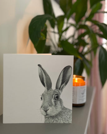 Hare Startled Pencil Illustrated Greeting Card