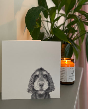 Sonny Spaniel Greeting Card