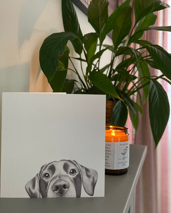 Lenny Labrador Pencil Illustrated Greeting Card