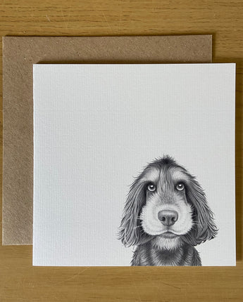 Sonny Spaniel Greeting Card