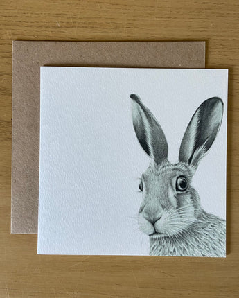 Hare Startled Pencil Illustrated Greeting Card