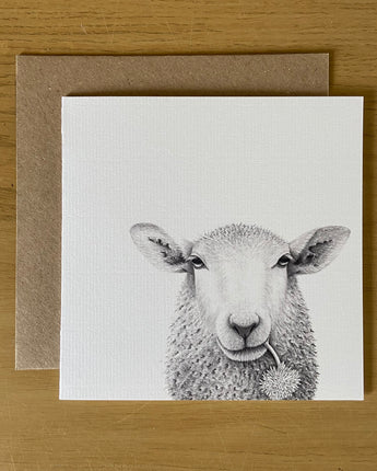 Baaley Sheep Pencil Illustrated Greeting Card