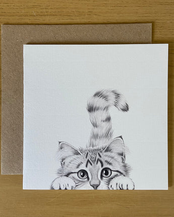 Chester Cat Pencil Illustrated Greeting Card