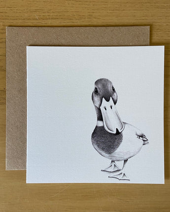 Duke Duck Pencil Illustrated Greeting Card