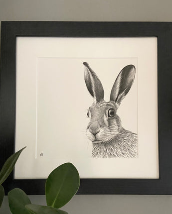 Startled Hare Mounted Print