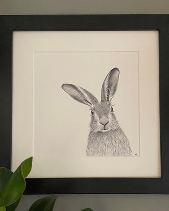 Harry Hare Mounted Print
