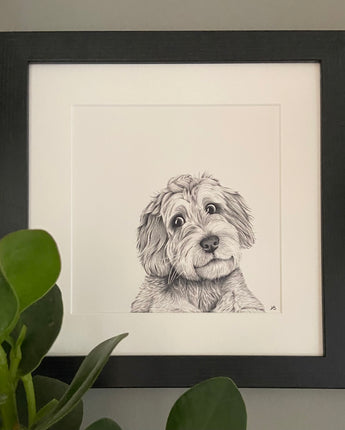 Cooper Cockapoo Mounted Print