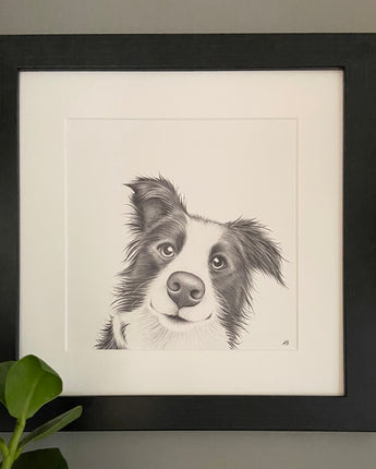 Cookie Collie Mounted Print