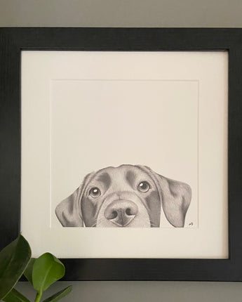 Lenny the Labrador Dog Mounted Print