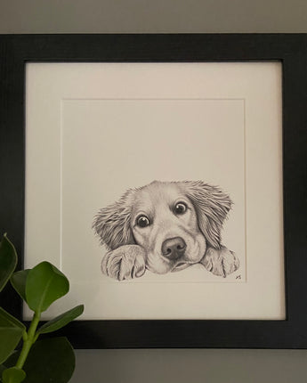 Ronnie Retriever Mounted Print