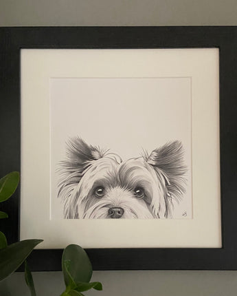 Mabel the Yorkshire Terrier Mounted Print