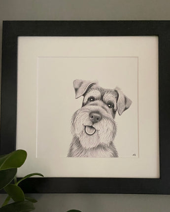 Scout Schnauzer Mounted Print