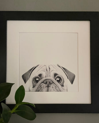 Charlie the Pug Mounted Print