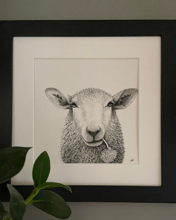 Baaley Sheep Mounted Print