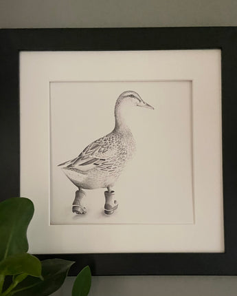 Runaway Duck Mounted Print