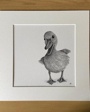 Duckling Mounted Print