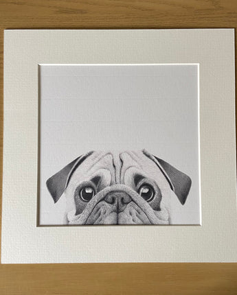 Charlie the Pug Mounted Print