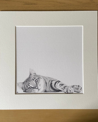 Carter Cat Mounted Print