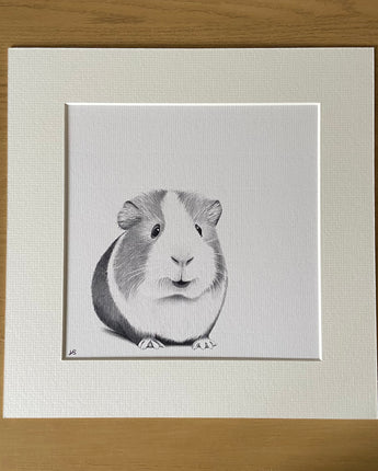 Ginny Guinea Pig Mounted Print