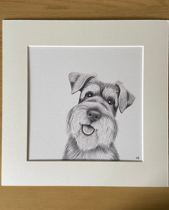 Scout Schnauzer Mounted Print