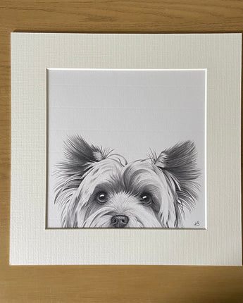 Mabel the Yorkshire Terrier Mounted Print