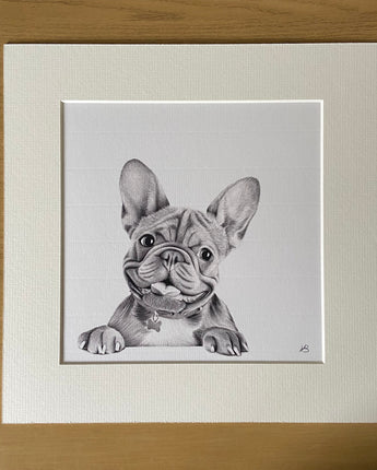 Stanley the French Bull Dog Mounted Print