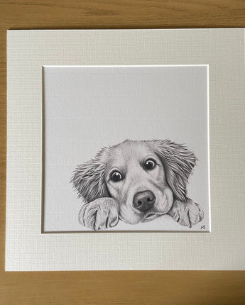 Ronnie Retriever Mounted Print