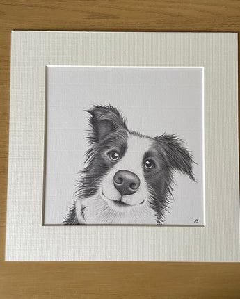 Cookie Collie Mounted Print