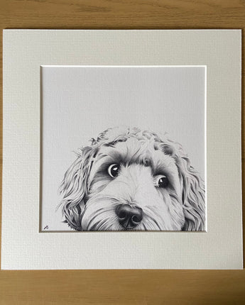 Dino the Cockapoo Dog Mounted Print