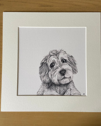 Cooper Cockapoo Mounted Print