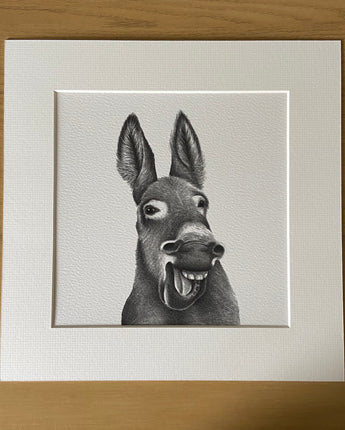 Laughing Donkey Mounted Print