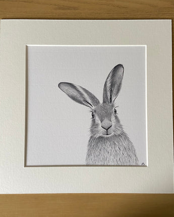 Harry Hare Mounted Print