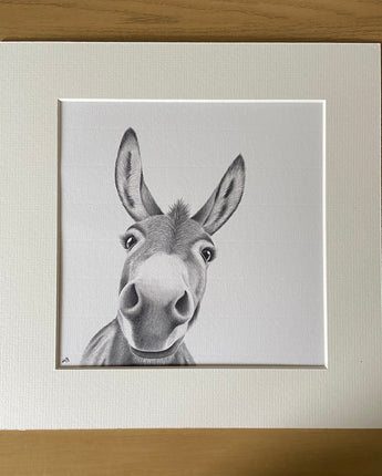 Doris Donkey Mounted Print
