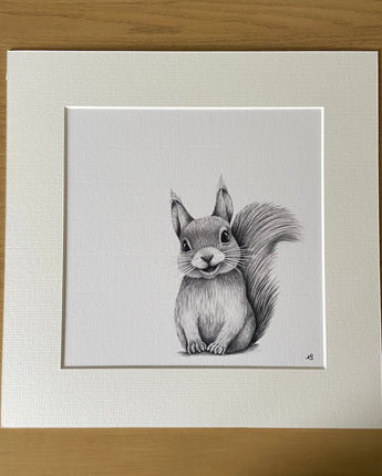 Skittle Squirrel Mounted Print