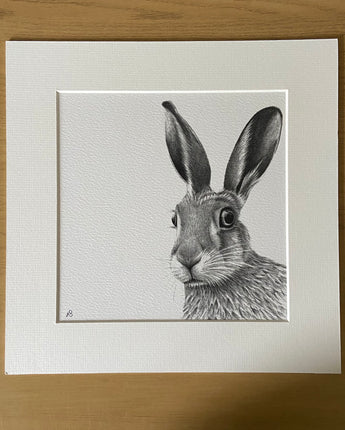 Startled Hare Mounted Print